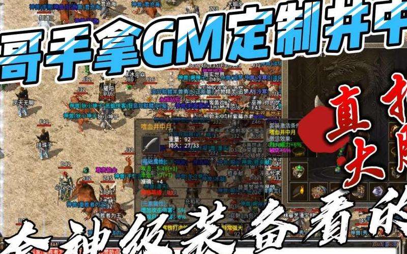 如何在传奇私服中设置GM权限，享受更好的游戏体验